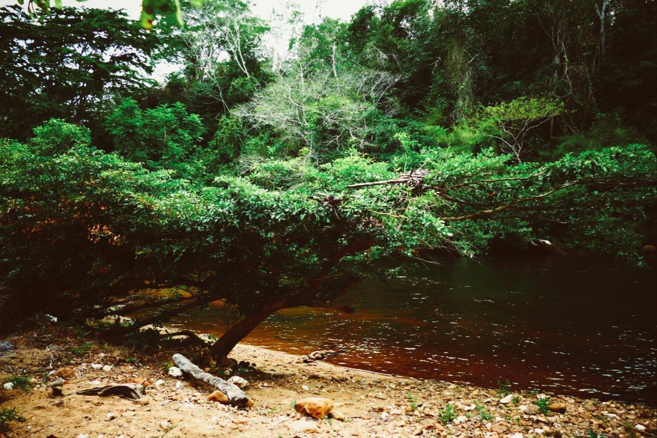 Alma Del Rio Eco-Comfort On The Water سان إجناسيو المظهر الخارجي الصورة
